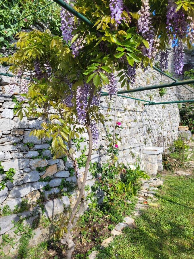 La Bouganvilla Porto Venere Ngoại thất bức ảnh
