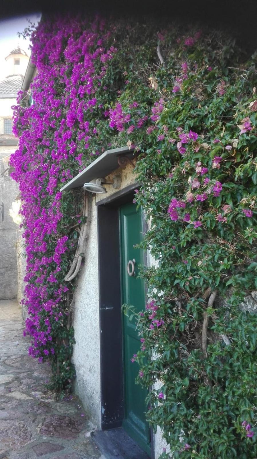 La Bouganvilla Porto Venere Ngoại thất bức ảnh